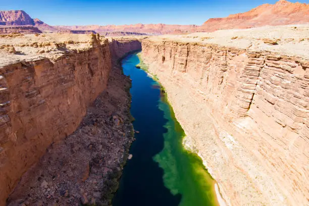 An algae bloom in the Colorado River above the Grand Canyon.