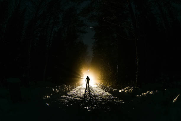 istock The alien walks through the forest against the backdrop of a bright light 1021915672