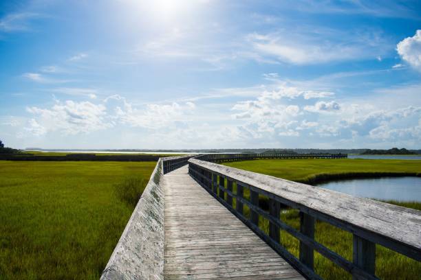 istock Pier on the Sound II 1021915728