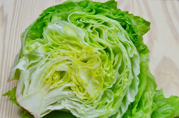 fresh sliced lettuce - iceberg lettuce imagens e fotografias de stock