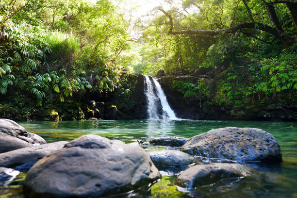istock Tropical waterfall Lower Waikamoi Falls and a small crystal clear pond, inside of a dense tropical rainforest, off the Road to Hana Highway, Maui, Hawaii 1021952810