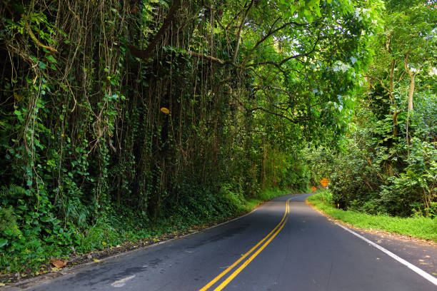 famous route à hana empreint de ponts d’une voie étroites, virages et une vue incroyable de l’île, maui, hawaii - hawaii islands hana maui curve photos et images de collection