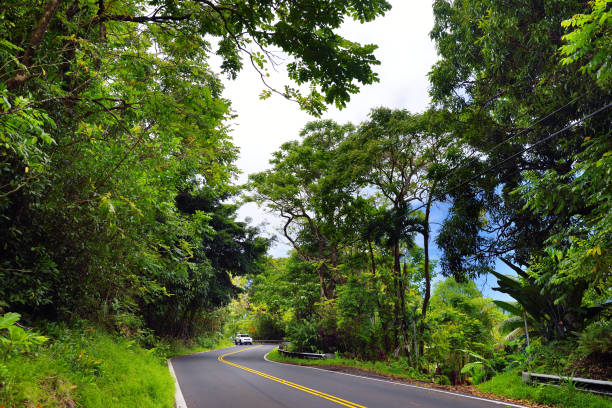 하나 좁은 1 차선 교량, 머리 핀 밝혀 졌와 놀라운 섬 플레이, 마우이, 하와이 고민도 유명한 - hawaii islands maui hana road 뉴스 사진 이미지