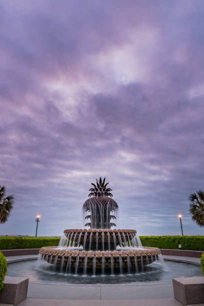 istock Morning Color Above Pineapple Fountain 1021962870