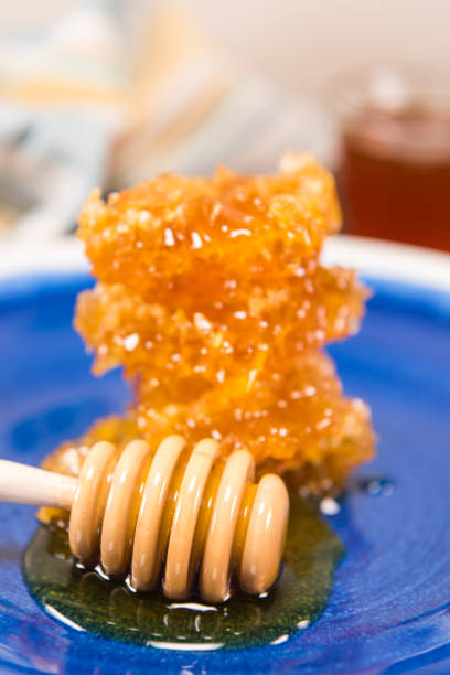 Honey Dipper Lays In Front of Stacked Honey Comb
