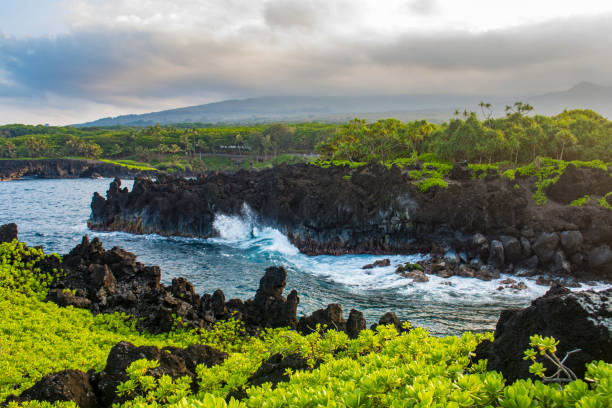istock Waianapanapa State Park 1021969716