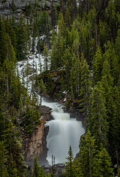 медвежья река и водопад - absaroka range стоковые фото и изображения