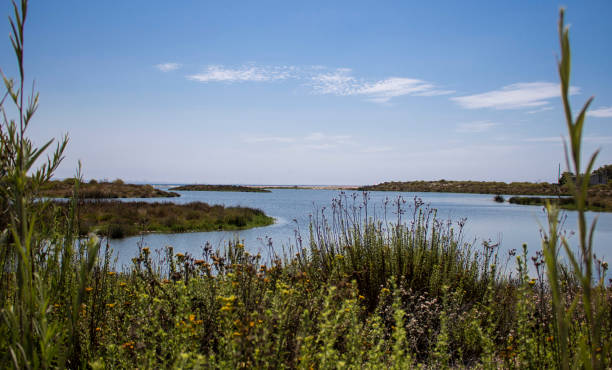 istock The Malibu Lagoon 1021980290