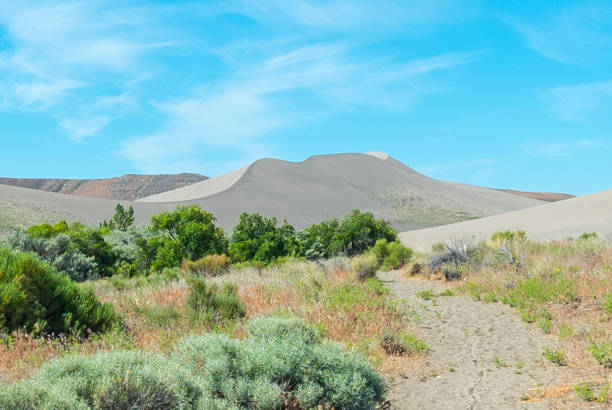 istock High Desert Sand Dune with Scrub near Trail 1021993984