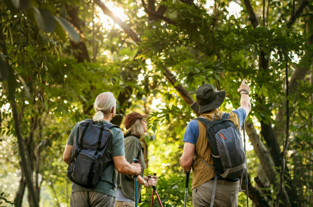 Seniors trekking in a forest Seniors trekking in a forest bird watching stock pictures, royalty-free photos & images