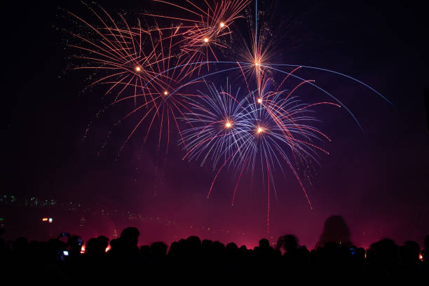 istock Group of people watching fireworks display fireworks 1022027860