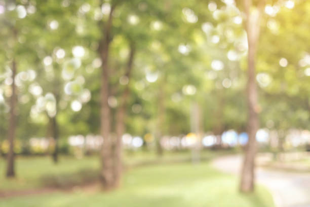 istock Blurred autumn nature outdoor background, Blur fall green park background 1022030400