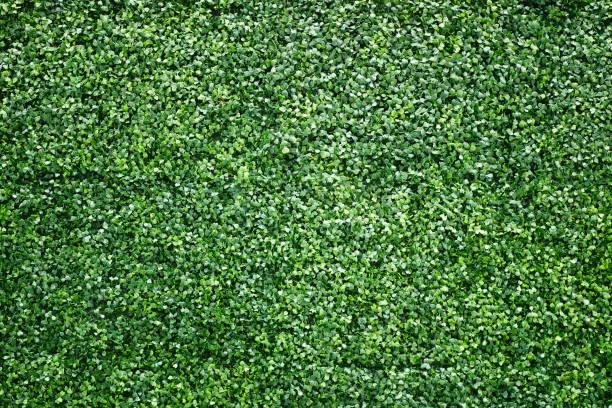 folhas verdes artificiais - soccer soccer field artificial turf man made material - fotografias e filmes do acervo