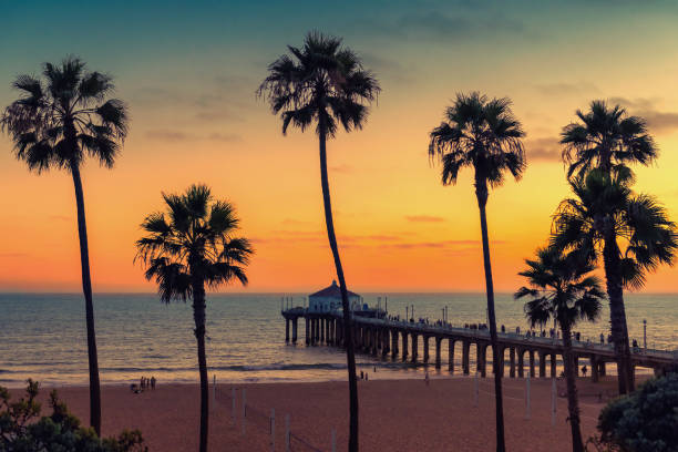 california beach at sunset - santa monica venice beach california santa monica beach imagens e fotografias de stock