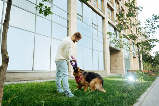 istock Modern businessman playing with his cute dog 1022059604