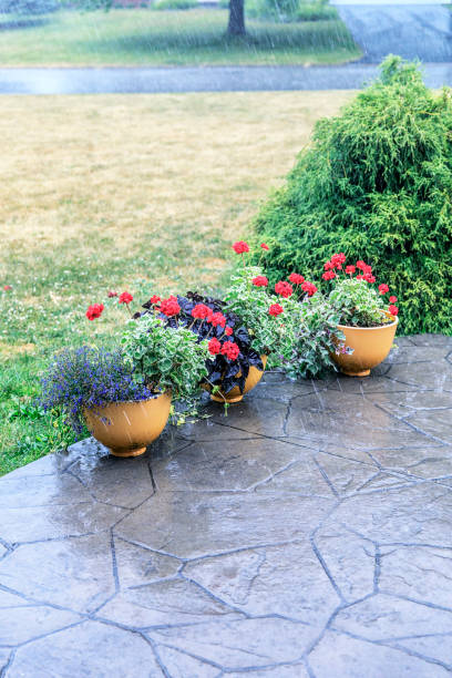 istock Torrential Rain Storm Downpour Water Drenching Geranium Flower Pots 1022060502