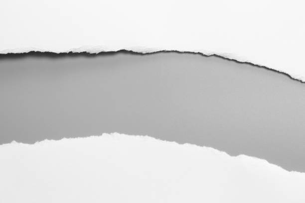 istock white torn paper on gray background. collection paper rip 1022069898