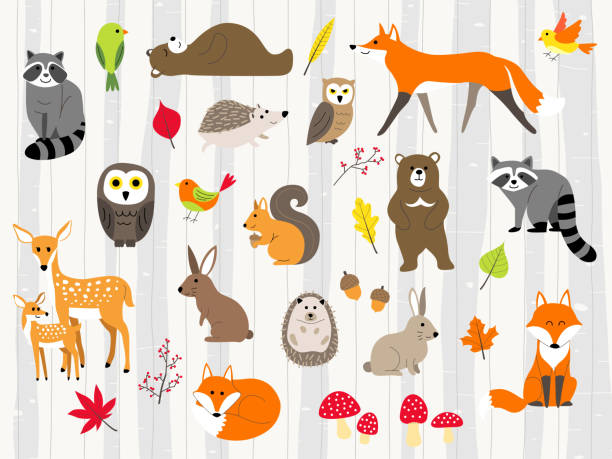 cute wild animals cartoon set woodland animals illustration,autumn forest background of woodland stock illustrations