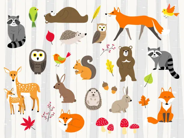 Vector illustration of cute wild animals cartoon set