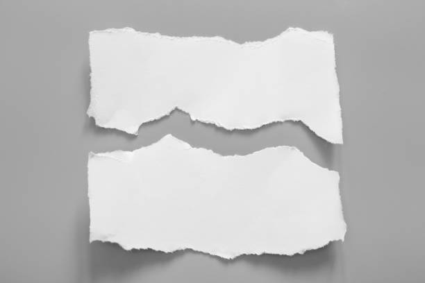 istock white torn paper on gray background. collection paper rip 1022072372