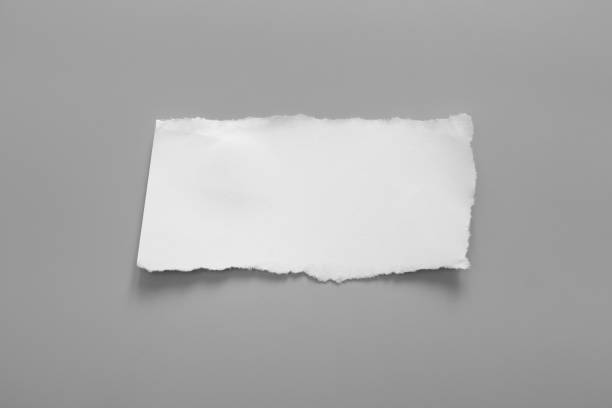 istock white torn paper on gray background. collection paper rip 1022072418