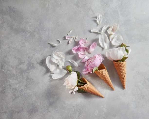 istock Spring flowers pattern with pink, white peony , petals on a gray stone table. 1022073550
