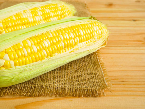 istock Ears of bicolor sweet corn 1022081344