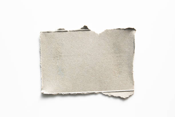 istock Brown corrugated texture paper torn on white background. rip of cardboard sheet used as a background . 1022085444
