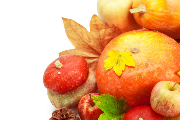 istock Autumn display with pumpkin and leaves isolated on white background 1022086186