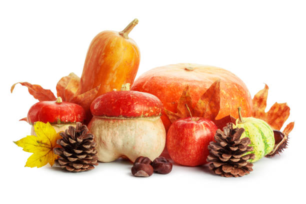istock Autumn display with pumpkin and leaves isolated on white background 1022086248