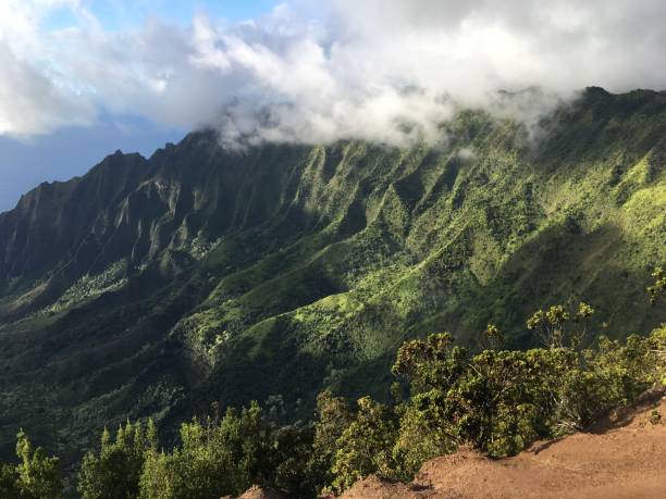 kalalau valley podczas pochmurny dzień na wyspie kauai, hawaje. - waimea canyon state park zdjęcia i obrazy z banku zdjęć