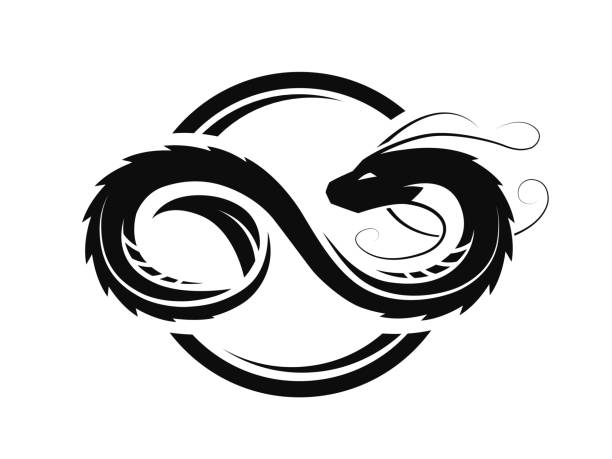 Dragon in the form of infinity, circle logo, symbol. Dragon in the form of infinity, circle logo, symbol. Vector illustration. dragon tattoos stock illustrations
