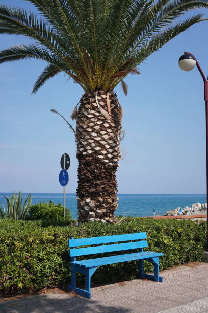 istock Sea promenade with palm tree 1022092414