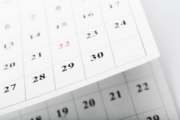 istock Calendar pages close up business time concept 1022101736