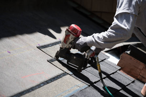 istock Installing new roof with nail gun 1022112890