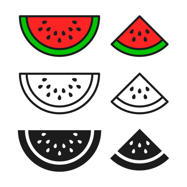 ilustraciones, imágenes clip art, dibujos animados e iconos de stock de vector set, del icono de sandía. color negro y contorno símbolo aislado - watermelon