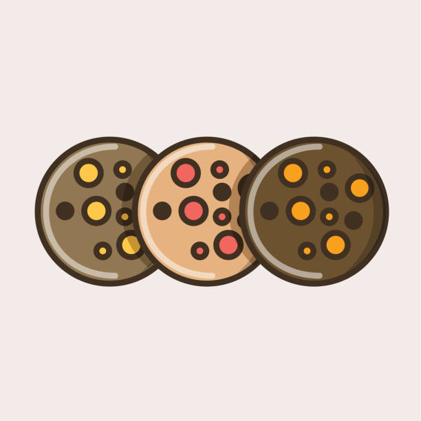 illustrazioni stock, clip art, cartoni animati e icone di tendenza di biscotti choco con arancia e cioccolato - quick cookies