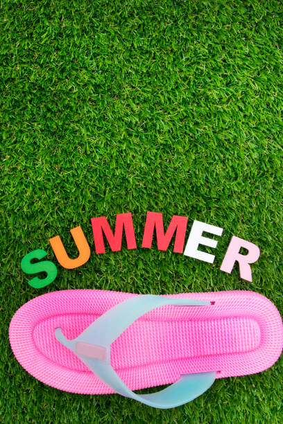 istock summer background with letters on green grass 1022122026