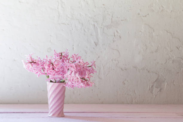 istock pink hyacinths in vase on white background 1022122322