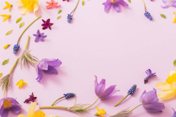 istock spring flowers on paper background 1022122326