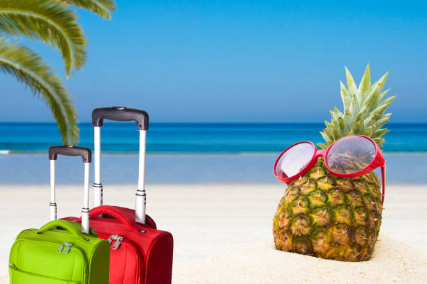 Pineapple on chair at the beach with copy space summer concept