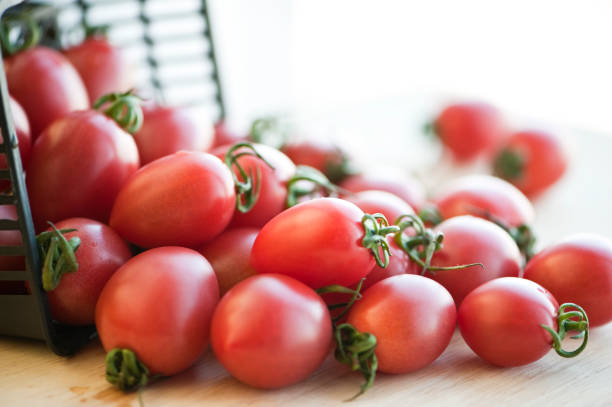 cherry tomato stock photo