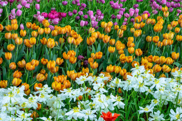 istock Bunch of flowers. 1022137126