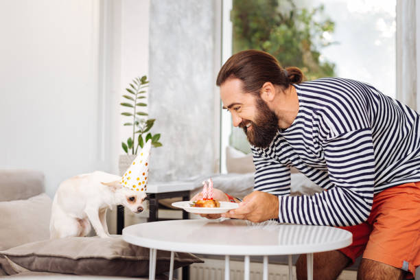 istock Caring bearded man bringing little plate with birthday cake for dog 1022141026