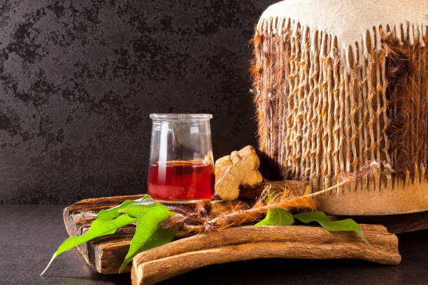 Ayahuasca brew with medicinal herbs. Ayahuasca brew with shamanic drum and medicinal herbs. banisteriopsis caapi stock pictures, royalty-free photos & images