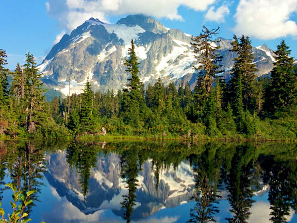 istock Mt Shuksan, Washington, USA 1022153974