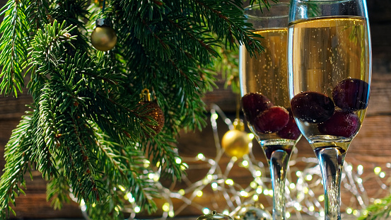 Two flutes of champagne with grape berries inside are under the Christmas tree. Close-up