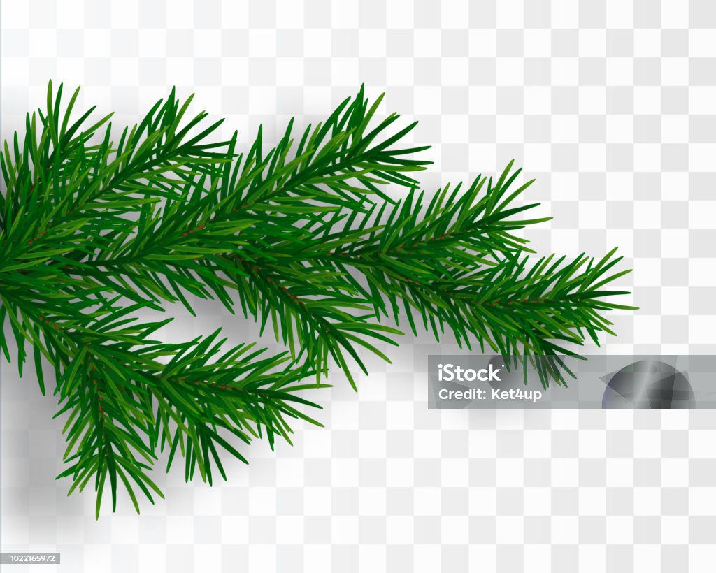 Christmas tree branch. Fir branch isolated. Vector illustration Pine tree branch. Vector Christmas tree. Vector illustration Branch - Plant Part stock vector