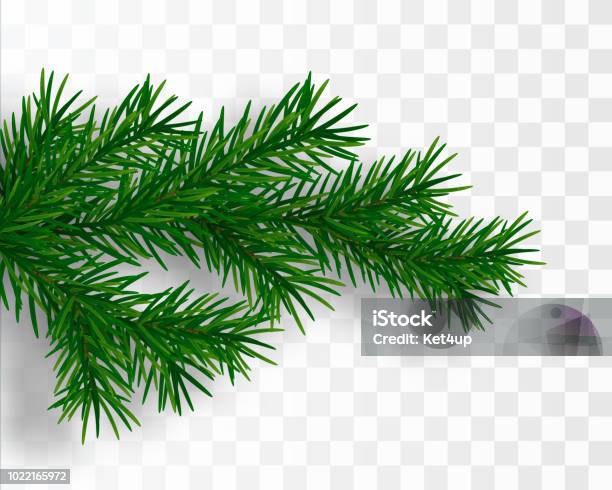 Christmas Tree Branch Fir Branch Isolated Vector Illustration Stock Illustration - Download Image Now