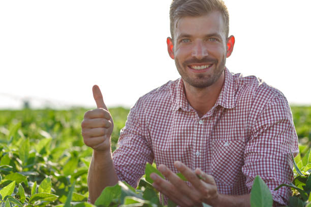 istock Young farmer in filed examining soybean corp at sunset. 1022166394